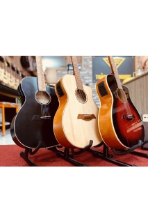  Guitar Acoustic  E75EG + EQ gs4